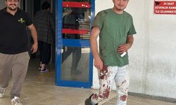Trabzon ve çevre illerde 497 "acemi kasap" hastanelik oldu