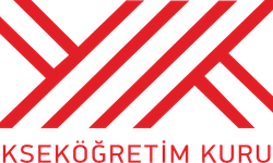 YÖK'ün "Uluslararası Araştırmacı Programları"nın ikinci başvuruları başladı