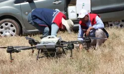 Siirt'te Çekirge Alarmı: 3 Bin Dekarlık Alanda Dronla İlaçlama Başlatıldı