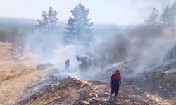 Sigara izmaritleri yangınlara neden oldu