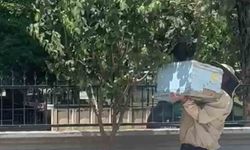 Güvenlik görevlisi oğul veren arıları kovana aldı