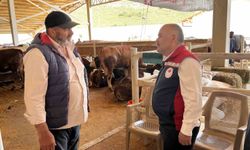 Kayıtlı hayvan, sağlıklı kurbanın teminatı oldu