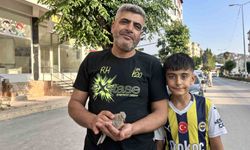Yavru kumruyu kurtarmak için seferber oldu