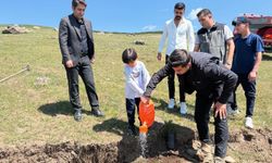 Sarıkamış’ta fidanlar toprakla buluştu