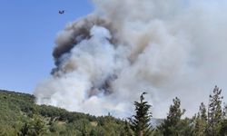 Balıkesir’deki orman yangınına müdahale ediliyor