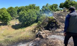 Tunceli’de yangın köye sıçramadan engellendi