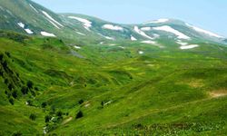 Ardahan’ın Posof İlçesinde Yayla Sezonu Başladı