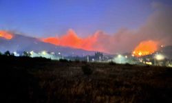Hatay’da 12. saatte orman yangını sürüyor: Bin 800 kişi tahliye edildi
