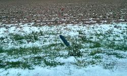 Aksaray'da dolu tarım arazilerine zarar verdi