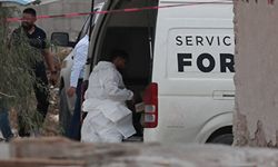 Meksika'nın kuzeyinde mumyalanmış 60 ceset bulundu
