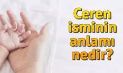 CEREN İSMİNİN ANLAMI NE? HEM ANLAMLI HEM ZARİF BİR İSİM