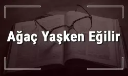 "Ağaç Yaşken Eğilir" Atasözü Ne Anlatır? Küçük Yaşta Eğitim Neden Önemlidir?