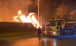 Bursa'da otluk alanda çıkan yangında 2 araç zarar gördü