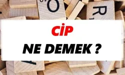 Cip ne demek