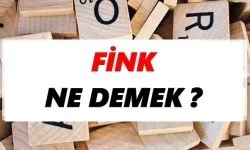 Fink ne demek?
