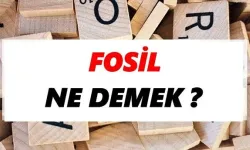 "Fosil" Ne Demek?