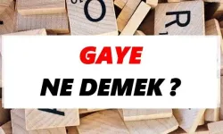 Gaye Ne Demek?