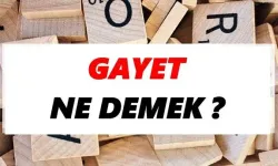 "Gayet" Ne Demek?