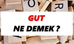 Gut ne demek?