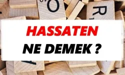 Hassaten ne demek?