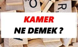 Kamer ne demek