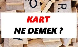 Kart nedir