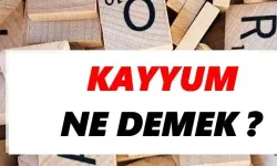 Kayyum Ne Demek?