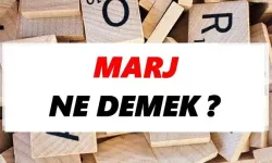 Marj ne demek