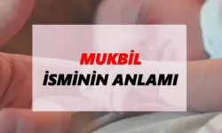 Mukbil ne demek?