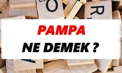 Pampa ne demek