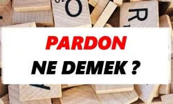 "Pardon" Ne Demek?