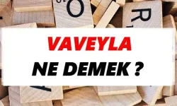 Vaveyla ne demek?