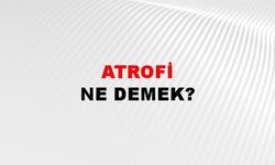 Atrofi ne demek?