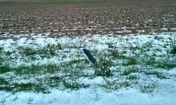 Aksaray'da dolu tarım arazilerine zarar verdi