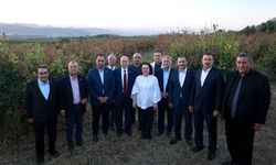 TBMM Zirai Don Komisyonu üyeleri, Mersin'de narenciye bahçelerini inceledi