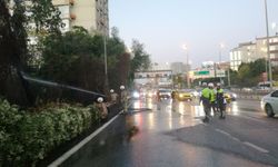 Şişli'de ağaçlık alanda çıkan yangın söndürüldü