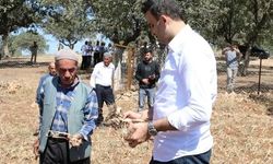 Hasankeyf'te tescilli sarımsağın hasadı yapıldı