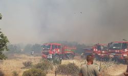 Çanakkale'de tarım arazisinde başlayıp ormana sıçrayan yangın kontrol altına alındı