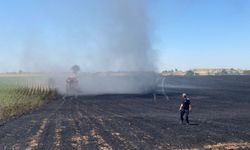 Edirne'de buğday tarlasında çıkan yangın söndürüldü