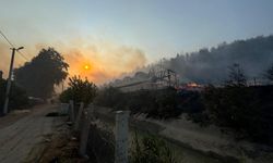 Antalya'da çıkan 2 ayrı orman yangınına müdahale ediliyor