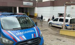 Torununu kurtarmak isterken hayatını kaybetti