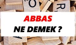 Abbas ne demek