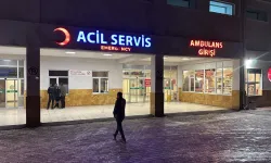 İstanbul'da bayramın üçüncü günü toplam 244 kişi hastanelere başvurdu