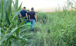 Adana’da sazlıklar arasında bir kişi ölü bulundu