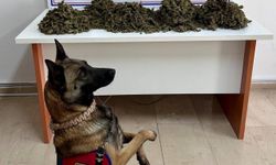 Batman'da aracında uyuşturucu ele geçirilen şüpheli tutuklandı