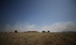 Çanakkale'de tarım arazisinde çıkan yangına havadan ve karadan müdahale ediliyor
