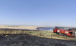 Diyarbakır'da çıkan yangında yaklaşık 1000 dekar buğday ve arpa ekili alan zarar gördü