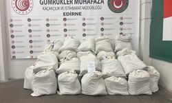 Kapıkule'de iki tırda 318 kilogram uyuşturucu ele geçirildi