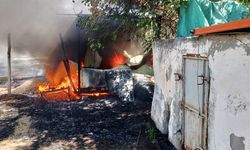 Malatya'da buğday tarlasına sıçrayan yangın söndürüldü