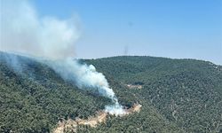 Manisa'da çıkan orman yangını kontrol altına alındı
